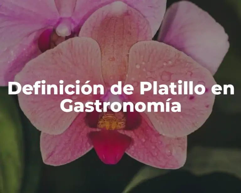 Definición de Platillo en Gastronomía