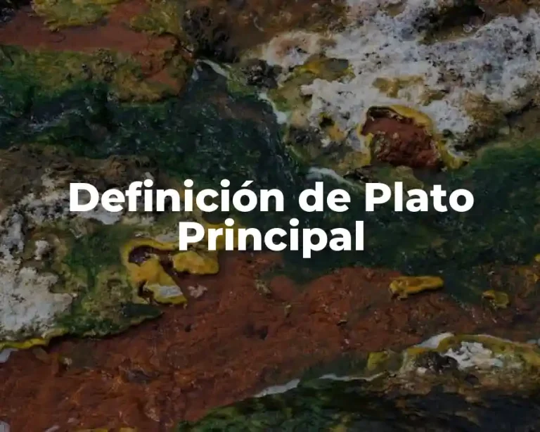 Definición de Plato Principal