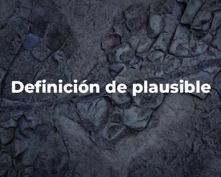 Definición de plausible