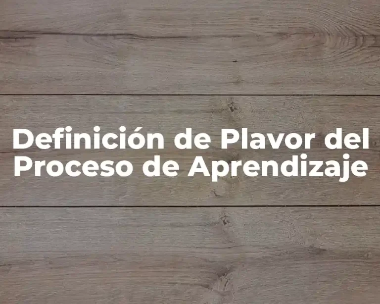 Definición de Plavor del Proceso de Aprendizaje