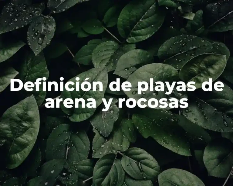 Definición de playas de arena y rocosas