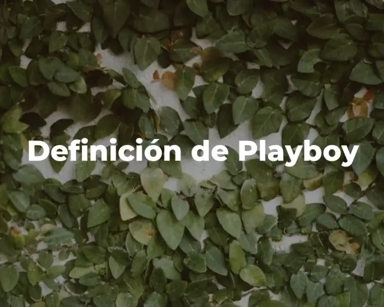 Definición de Playboy