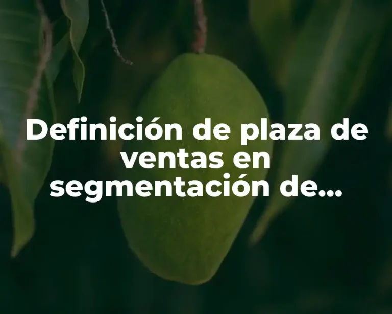 Definición de plaza de ventas en segmentación de mercado