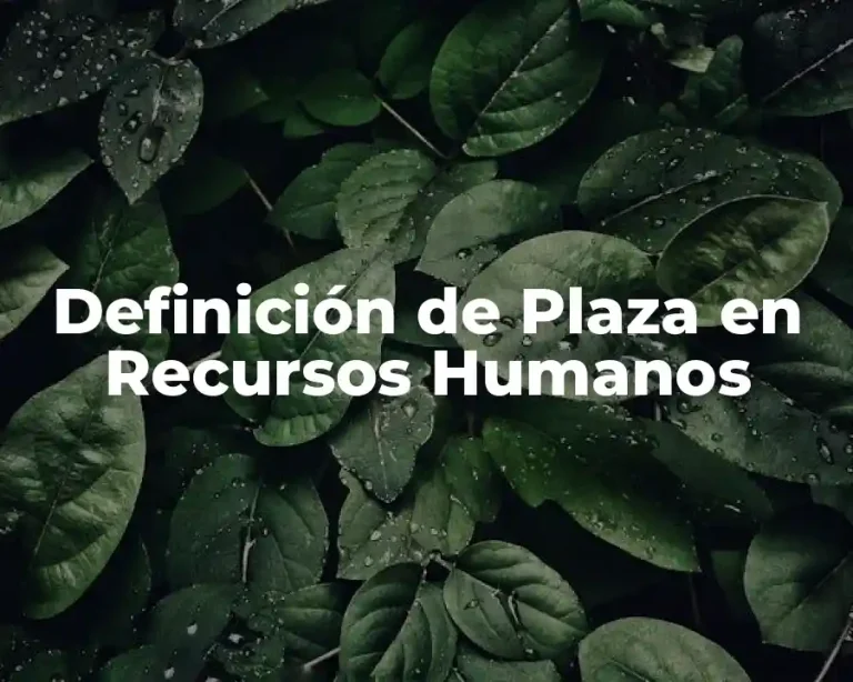 Definición de Plaza en Recursos Humanos