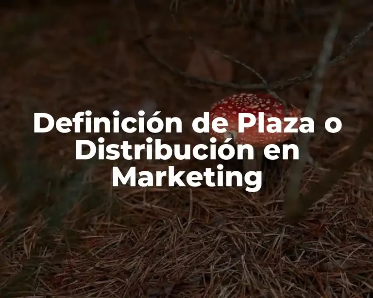 Definición de Plaza o Distribución en Marketing