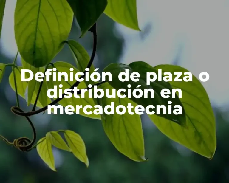 Definición de plaza o distribución en mercadotecnia