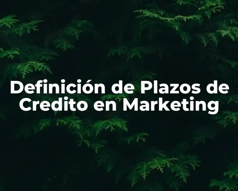 Definición de Plazos de Credito en Marketing
