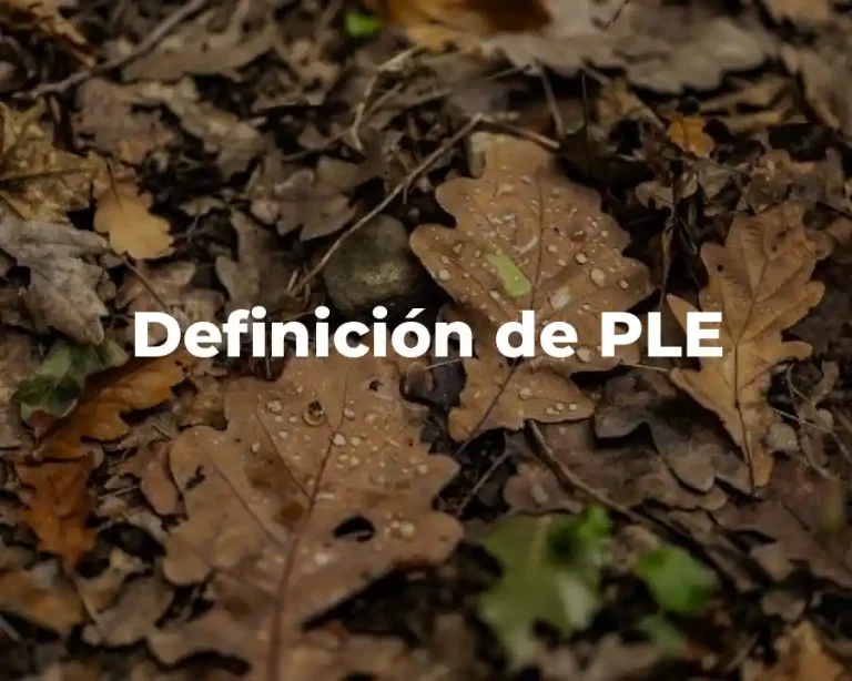 Definición de PLE