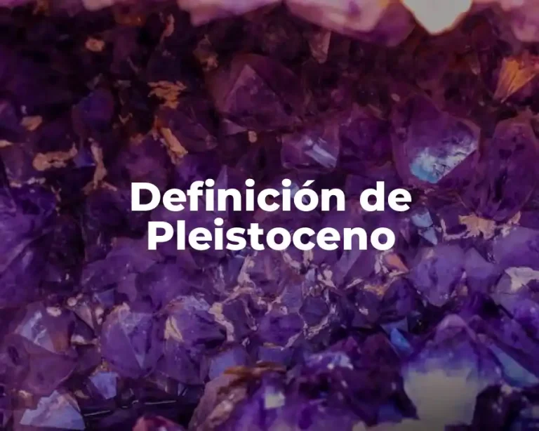 Definición de Pleistoceno