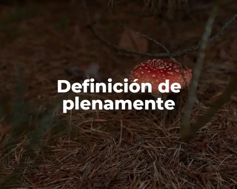 Definición de plenamente