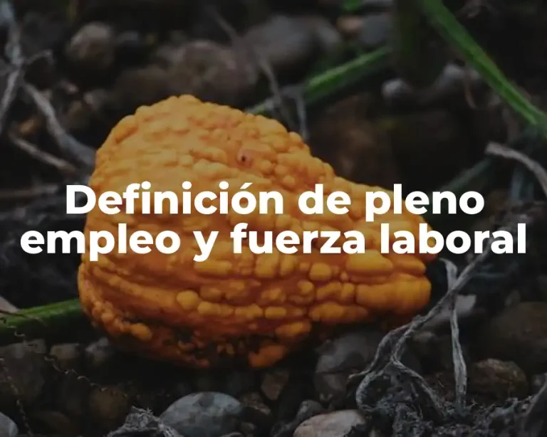 Definición de pleno empleo y fuerza laboral