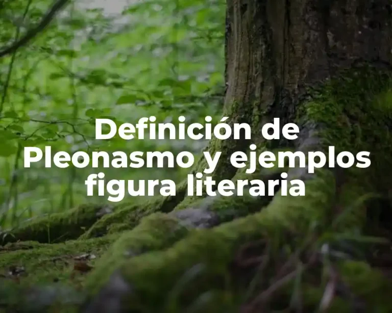 Definición de Pleonasmo y ejemplos figura literaria
