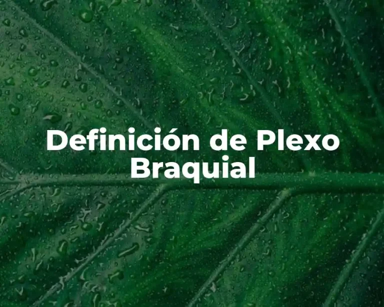 Definición de Plexo Braquial