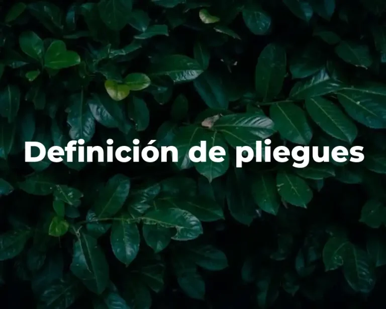 Definición de pliegues
