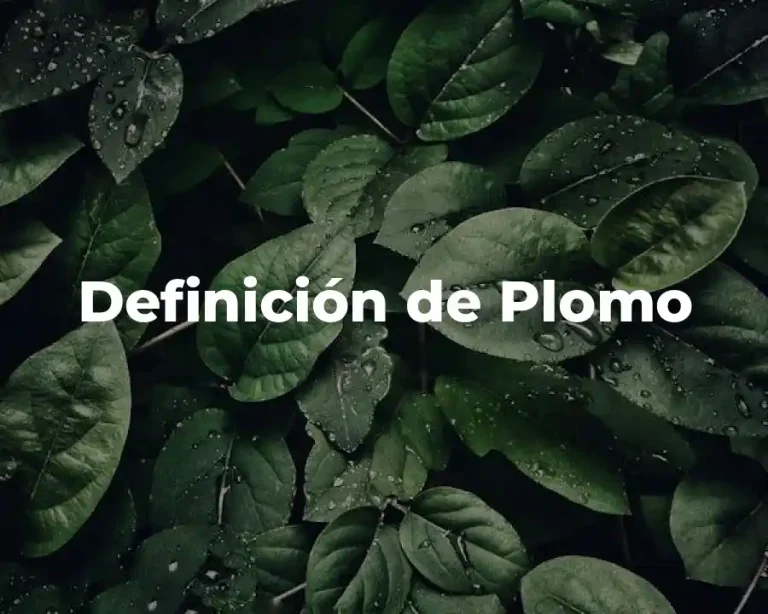 Definición de Plomo