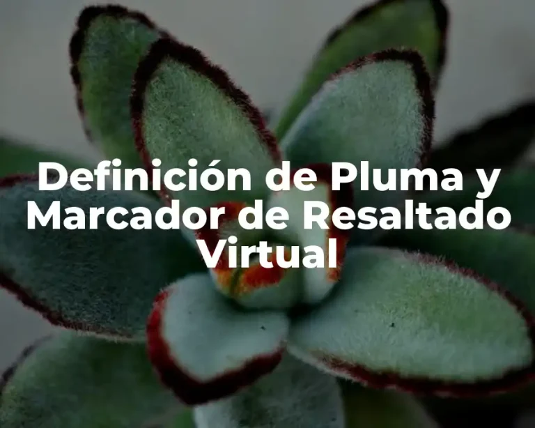 Definición de Pluma y Marcador de Resaltado Virtual
