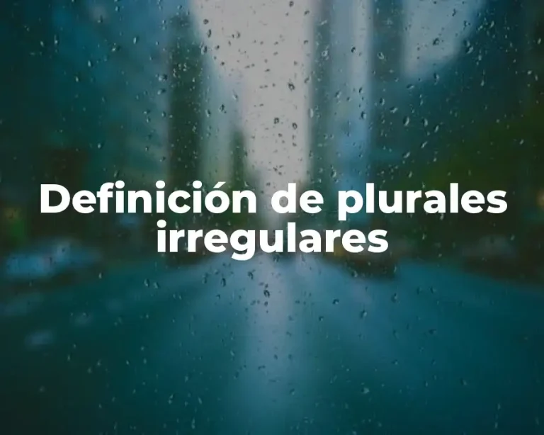 Definición de plurales irregulares