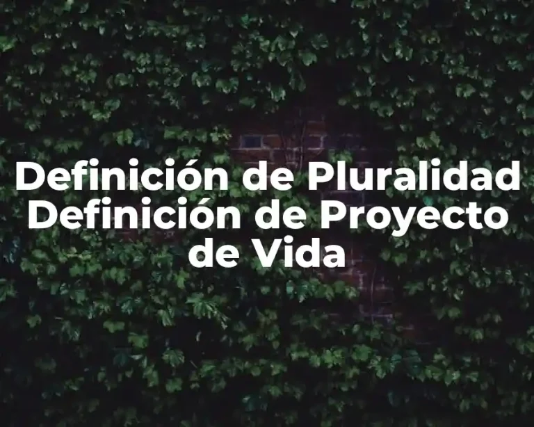 Definición de Pluralidad Definición de Proyecto de Vida
