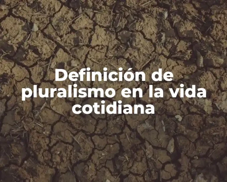 Definición de pluralismo en la vida cotidiana