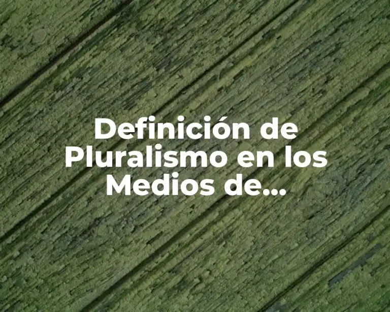 Definición de Pluralismo en los Medios de Comunicación