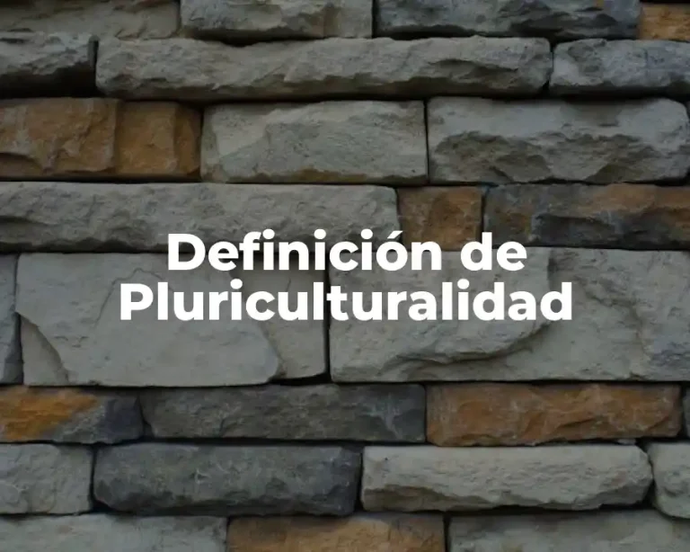 Definición de Pluriculturalidad