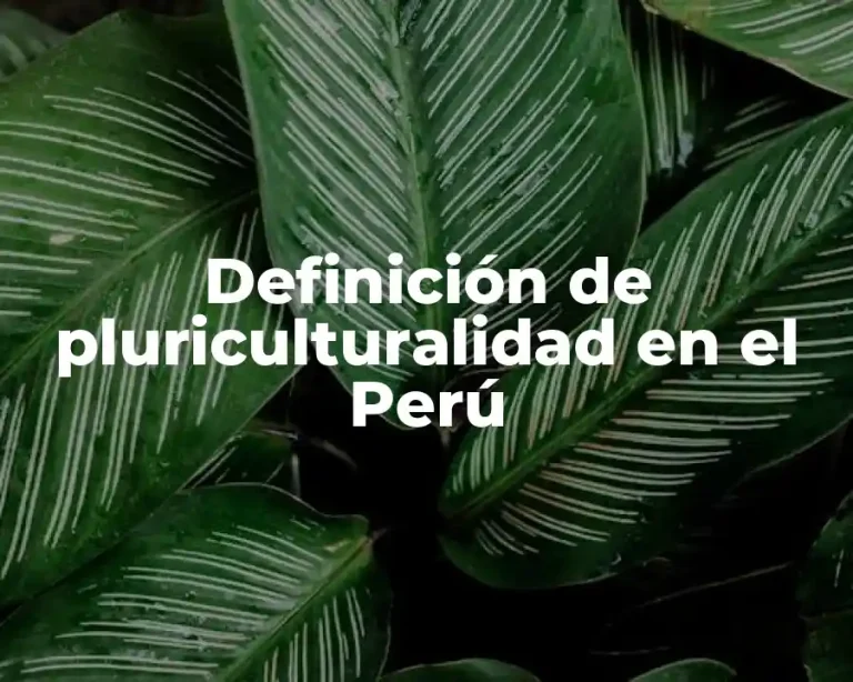 Definición de pluriculturalidad en el Perú