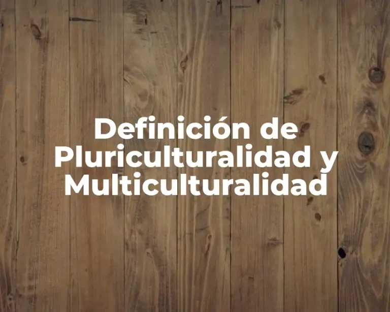 Definición de Pluriculturalidad y Multiculturalidad