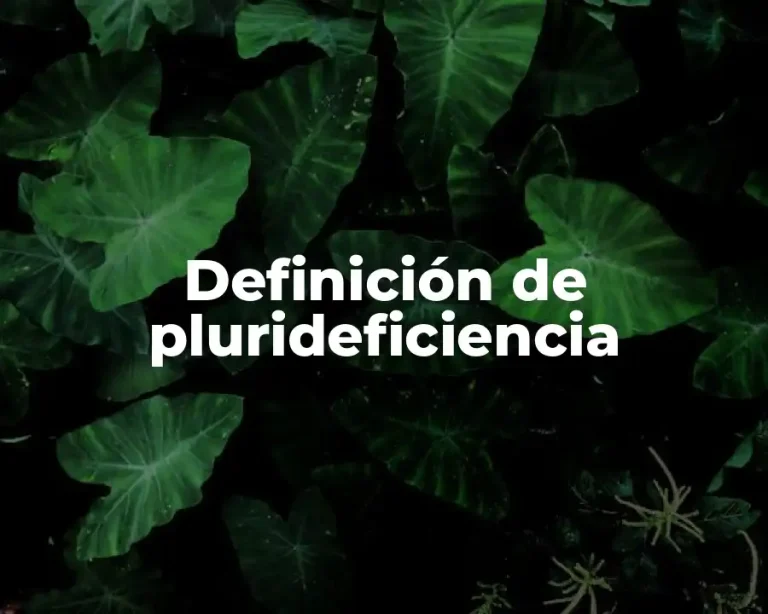 Definición de plurideficiencia