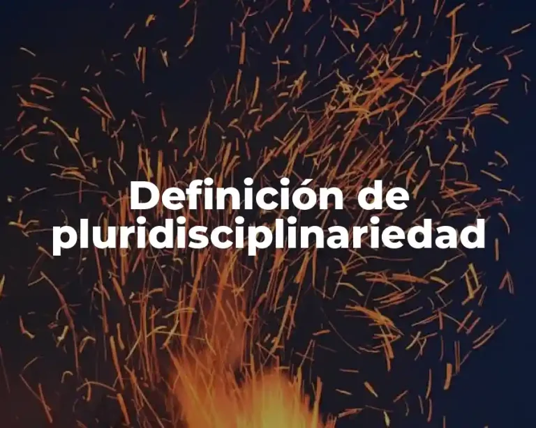 Definición de pluridisciplinariedad