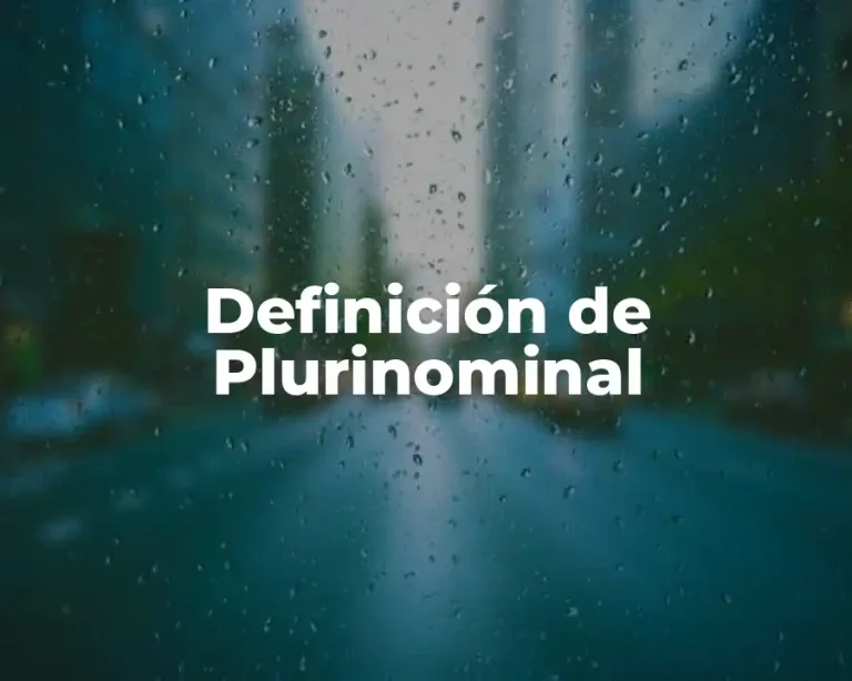 Definición de Plurinominal