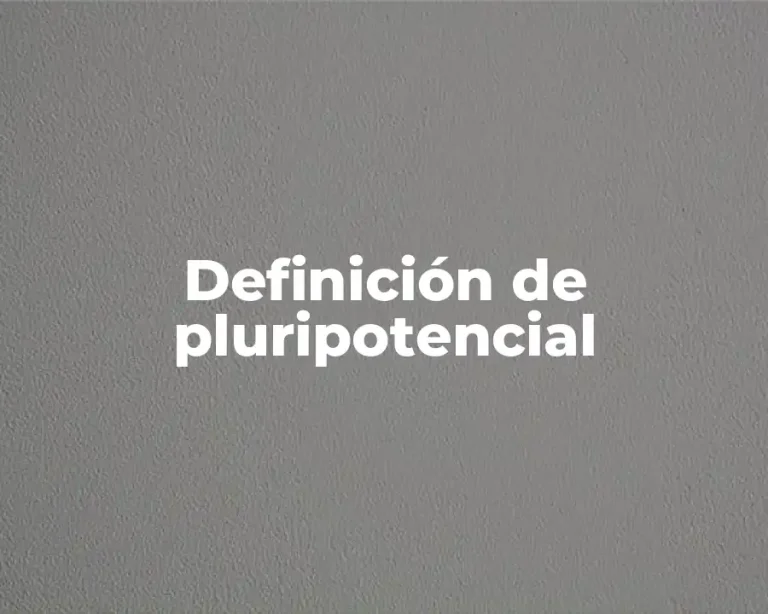 Definición de pluripotencial