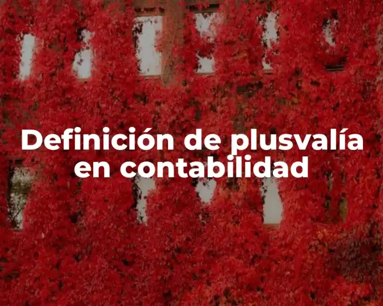 Definición de plusvalía en contabilidad