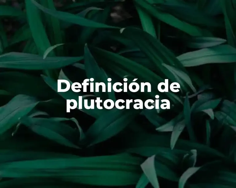 Definición de plutocracia