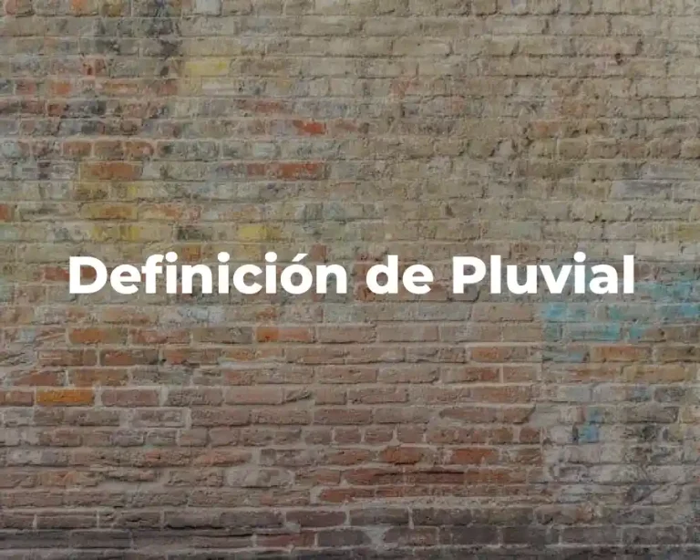 Definición de Pluvial