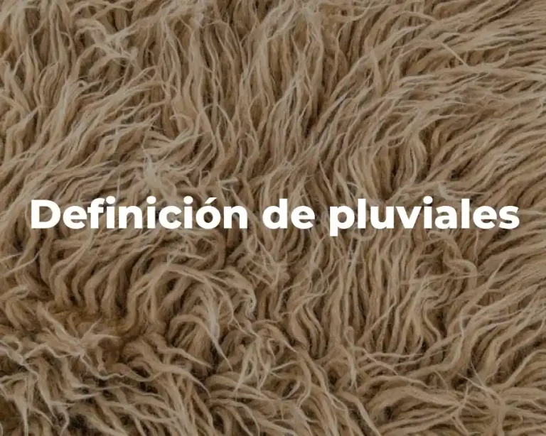 Definición de pluviales