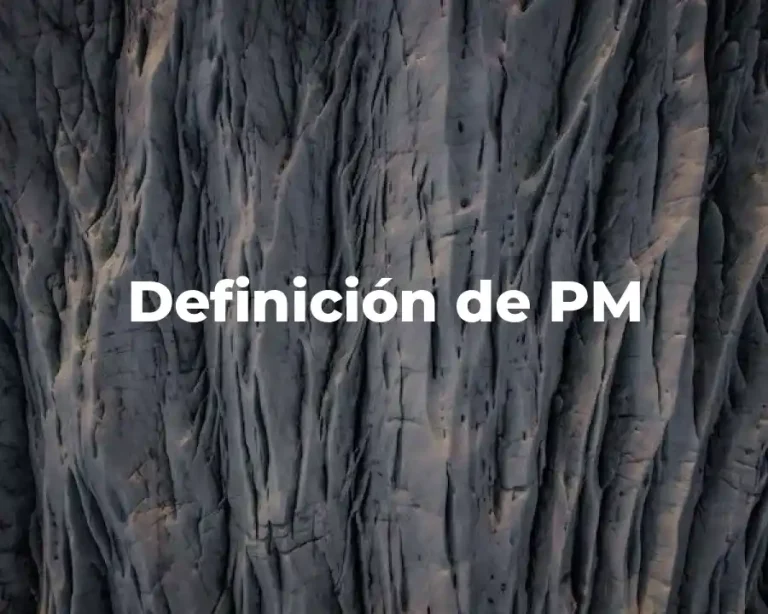 Definición de PM