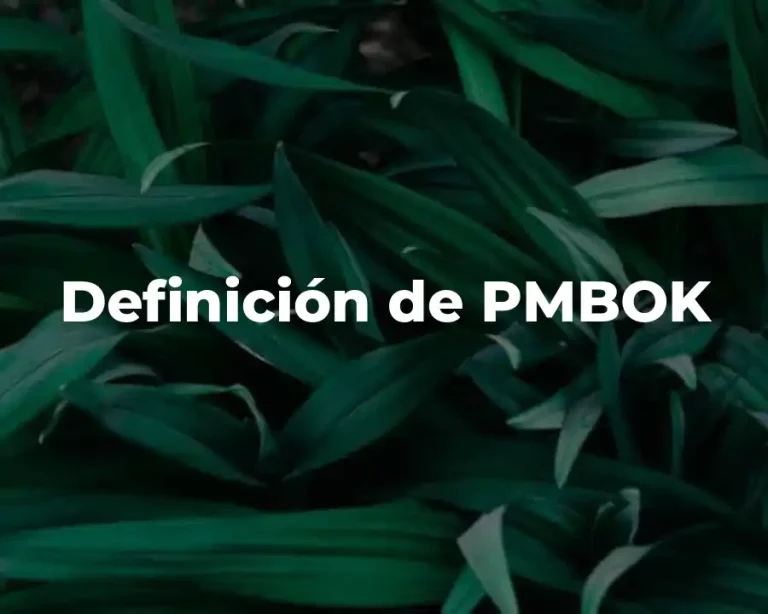 Definición de PMBOK
