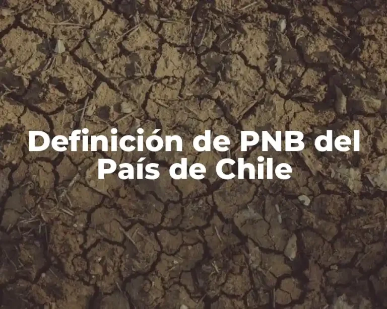 Definición de PNB del País de Chile
