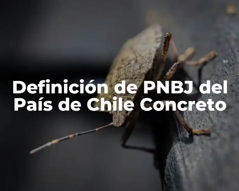 Definición de PNBJ del País de Chile Concreto