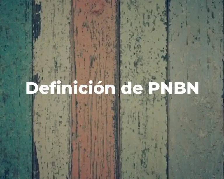 Definición de PNBN