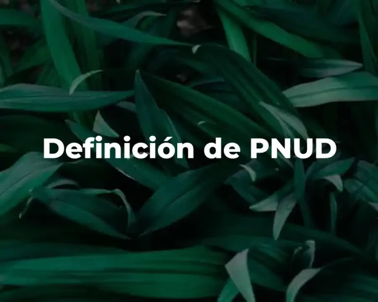Definición de PNUD