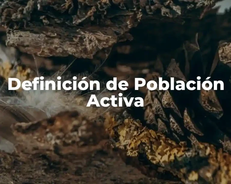 Definición de Población Activa