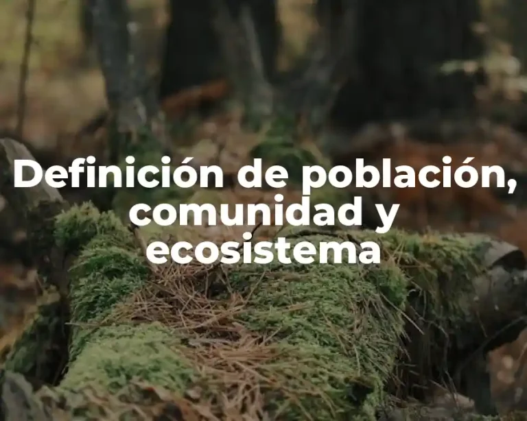 Definición de población, comunidad y ecosistema