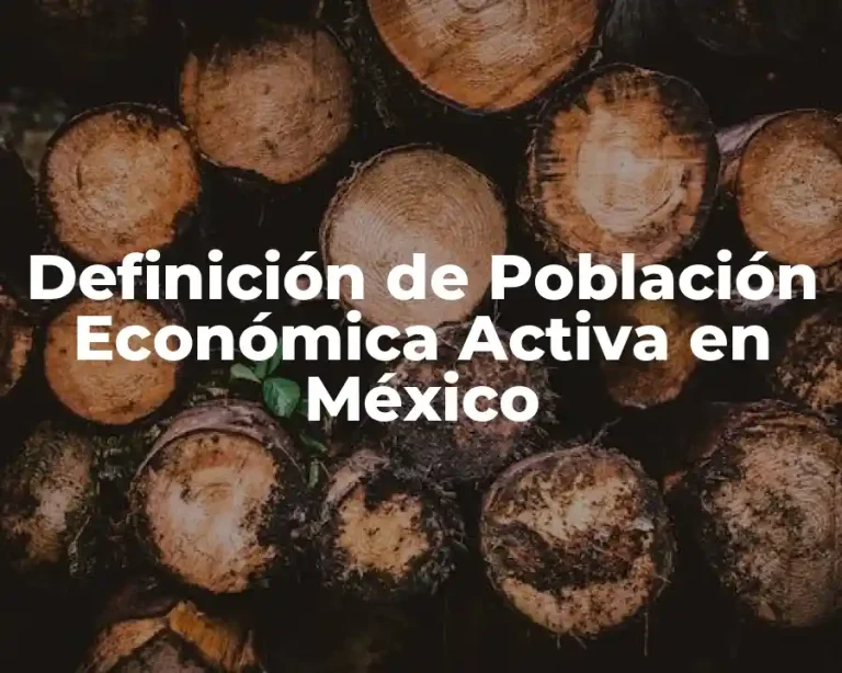 Definición de Población Económica Activa en México
