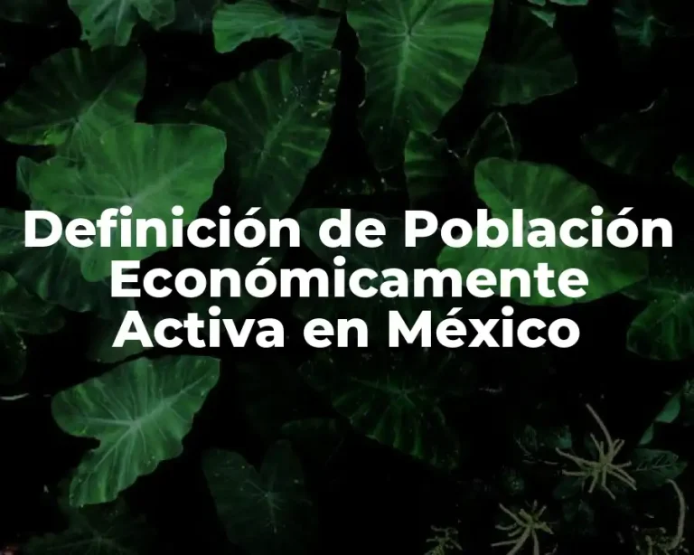 Definición de Población Económicamente Activa en México