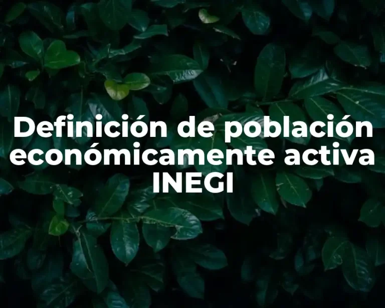 Definición de población económicamente activa INEGI