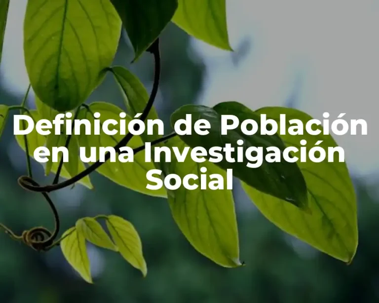 Definición de Población en una Investigación Social