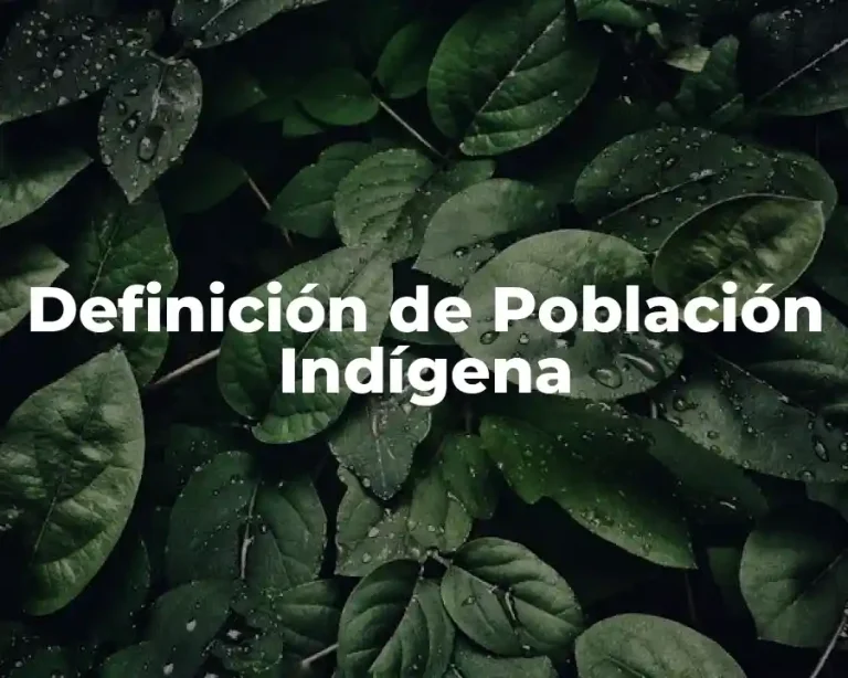 Definición de Población Indígena