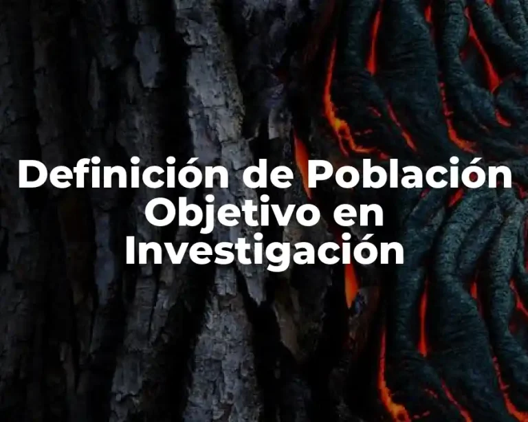 Definición de Población Objetivo en Investigación