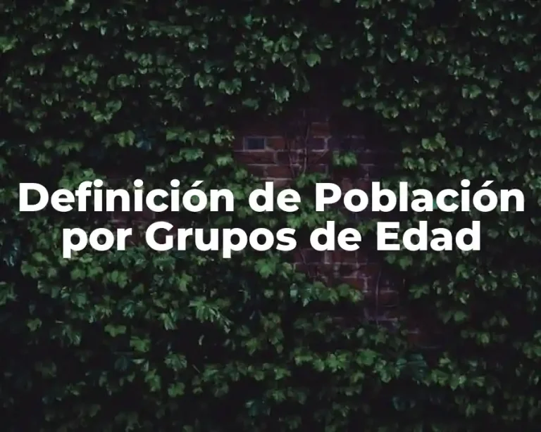 Definición de Población por Grupos de Edad